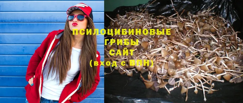 Псилоцибиновые грибы Cubensis  mega ссылка  Щучье 